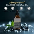 thumbnail image 2 of Expressive Scent 2oz Scented Home Fragrance Essential Oil (Black Ice), 2 of 5