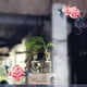 thumbnail image 4 of Wdftyju Flores refrigerador PVC arte pared pegatinas cocina baño taburete calcomanía (Y1548) Wdftyju 2bq4ed3dz5wp1cr7D08, 4 of 6