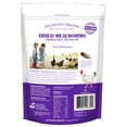 Red River Commodities Pecking Order Dried Mealworms Backyard Chicken