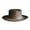 Brown, variant on yunLCZ Classic Hats Symmetric Hat Wool Hat Women Men Unisex Hat Steam Punk Hat Top Hat Fashion Ribbon Decorative Hat for All Seasons