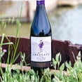 thumbnail image 4 of Vino tinto Arrogant Frog Pinot Noir 750ml, 4 of 4