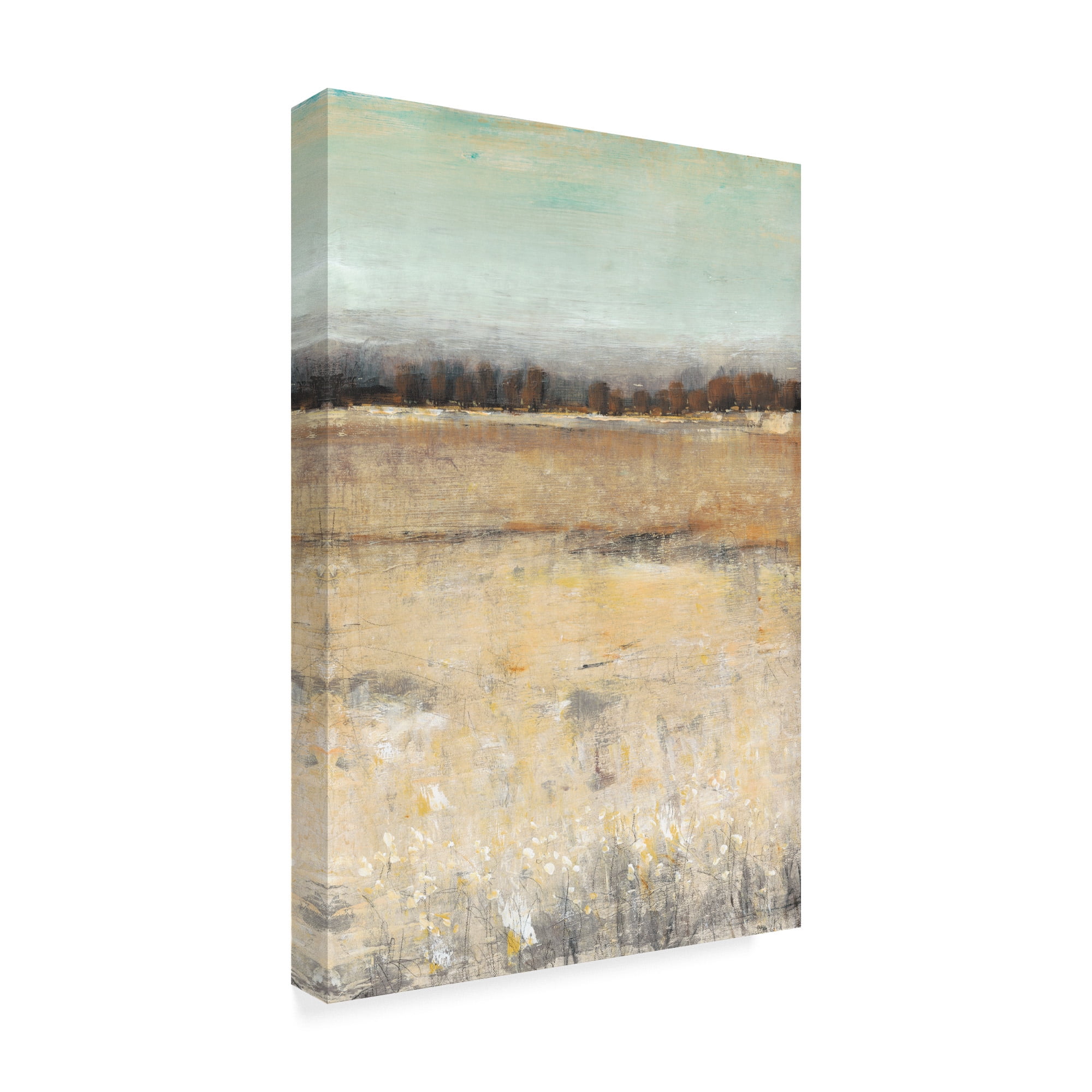 Trademark Fine Art 'Harvest Day I' Canvas Art by Tim OToole