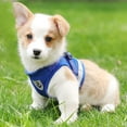 thumbnail image 3 of Dog Harness and Leash Set for Dogs, Soft Mesh Padded Harness for Puppies and Cats, Reflective Adjustable Breathable Chest Harness for Walking, Running, Training S Blue, 3 of 8