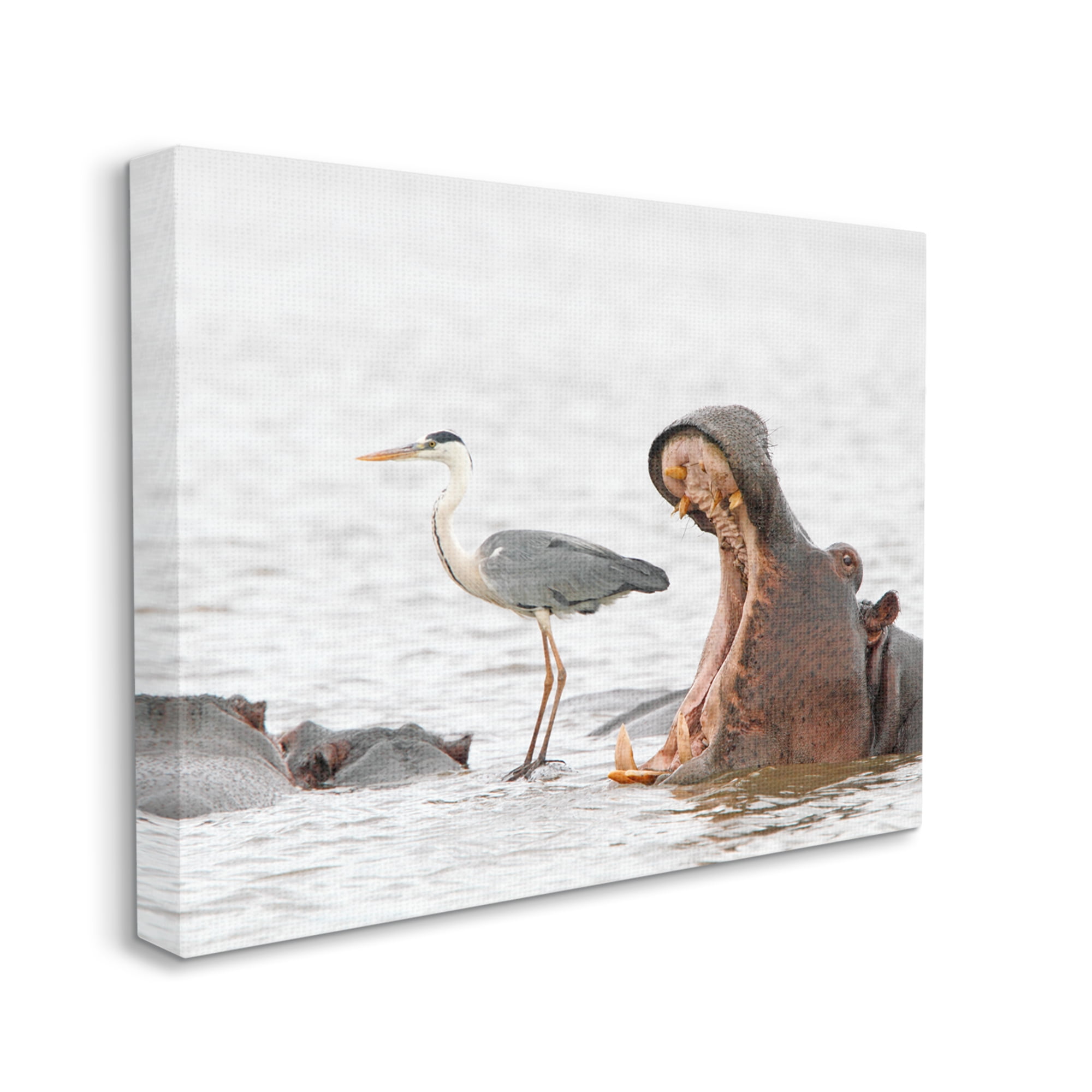 Stupell Industries Hippo & Heron Photography Animals & Insects Photography Gallery Wrapped Canvas Art Print Wall Art, 40 x 30