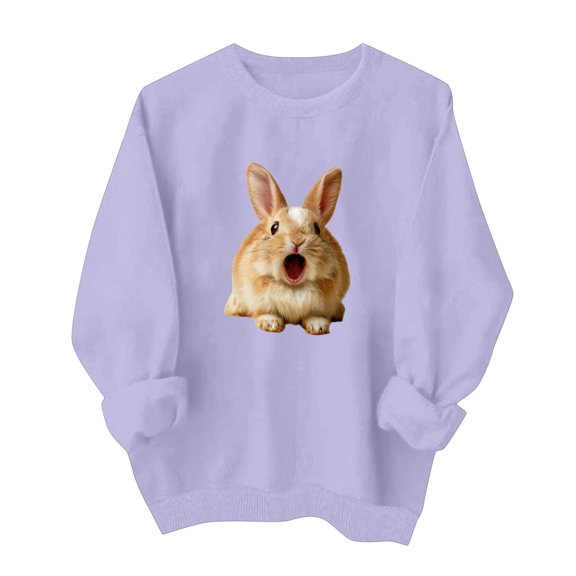 Zxlsdmn Womens Long Sleeve Sweatshirts Comfy Crew Neck Pullover Tops Trendy Graphic Sweatshirt Casual Drop Shoulder Fall Winter Sweat Shirts M