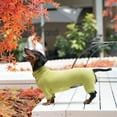 thumbnail image 4 of HQREA Dachshund Dog Turtleneck Sweater, Winter Warm Clothes for Dachshunds, Sausage, 4 of 6