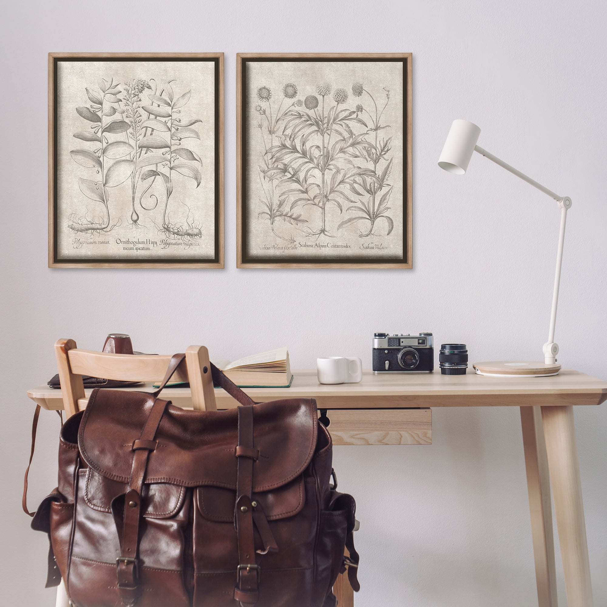 Stupell Industries Soft Botanical Study Plants & Flowers Painting Brown Floater Framed Canvas Art Print Wall Art, 31 x 25, Set of 2