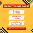 thumbnail image 4 of Batterie à Cycle Profond 20Ah AGM 12V, 4 of 10