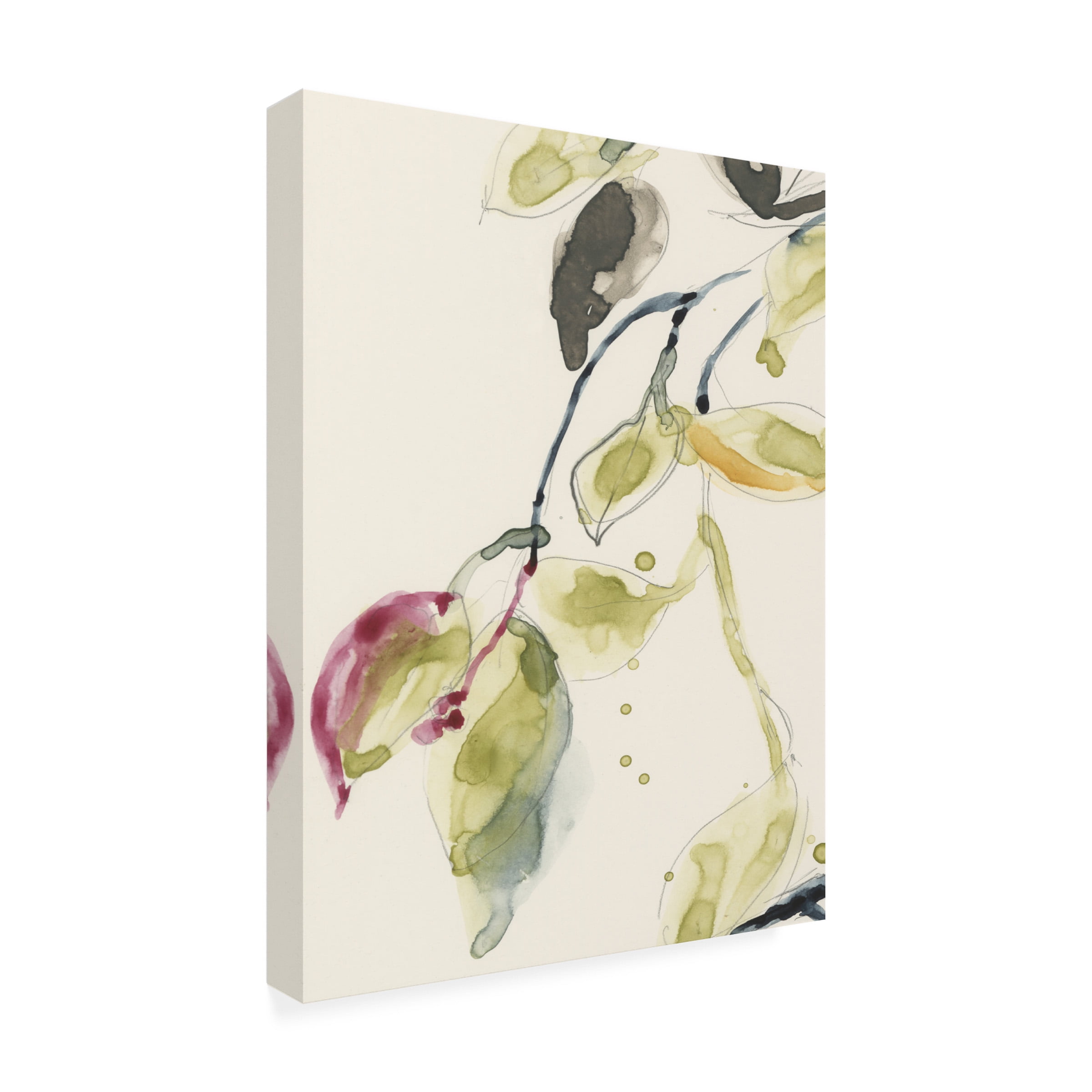 Trademark Fine Art Jennifer Goldberger 'Leaf Branch Triptych I' Canvas Art
