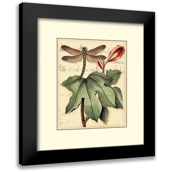 Vision Studio 12x13 Black Modern Framed Museum Art Print Titled - Petite Dragonflies II