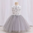 thumbnail image 4 of XBASW Infant Baby Girls Princess Dress Newborn Birthday Dresses Mesh Lace Princess Tutu Girls Party Gown 0-12 Months, 4 of 8