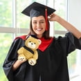 thumbnail image 4 of Osito de doctor con birrete de graduación, peluche, muñeco de graduación, muñeco de tela, regalo de graduación, muñeco de peluche, 4 of 7