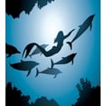 thumbnail image 3 of Underwater Duvet Cover Set, Mermaid and Dolphins Underwater View Travel Diving Fin Sea Life, Decorative 2 Piece Bedding Set with 1 Pillow Shams, Twin Size, Blue Black Petrol Blue, by Ambesonne, 3 of 3