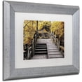 thumbnail image 2 of Trademark Fine Art "Crossing Fall" Canvas Art by Philippe Hugonnard, White Matte, Silver Frame, 2 of 4