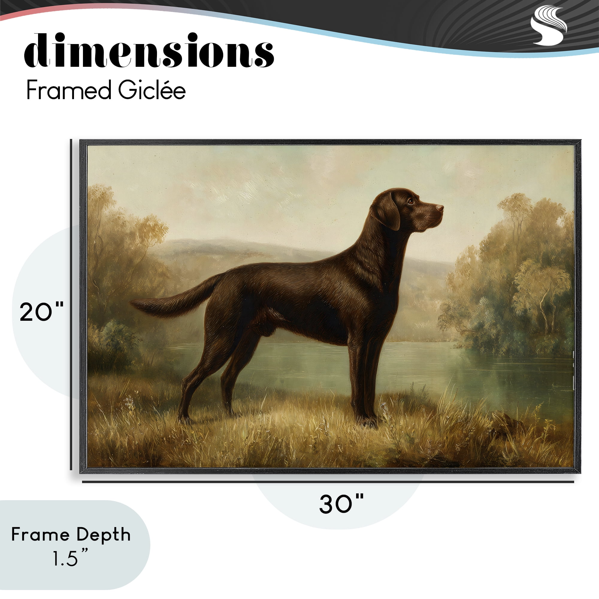 Stupell Industries Chocolate Brown Labrador Black Framed Giclee Art, design by Petal Prints Design