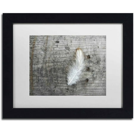 UPC 190836255245 product image for Trademark Fine Art  Feather on Rough Wood  Canvas Art by Cora Niele  White Matte | upcitemdb.com