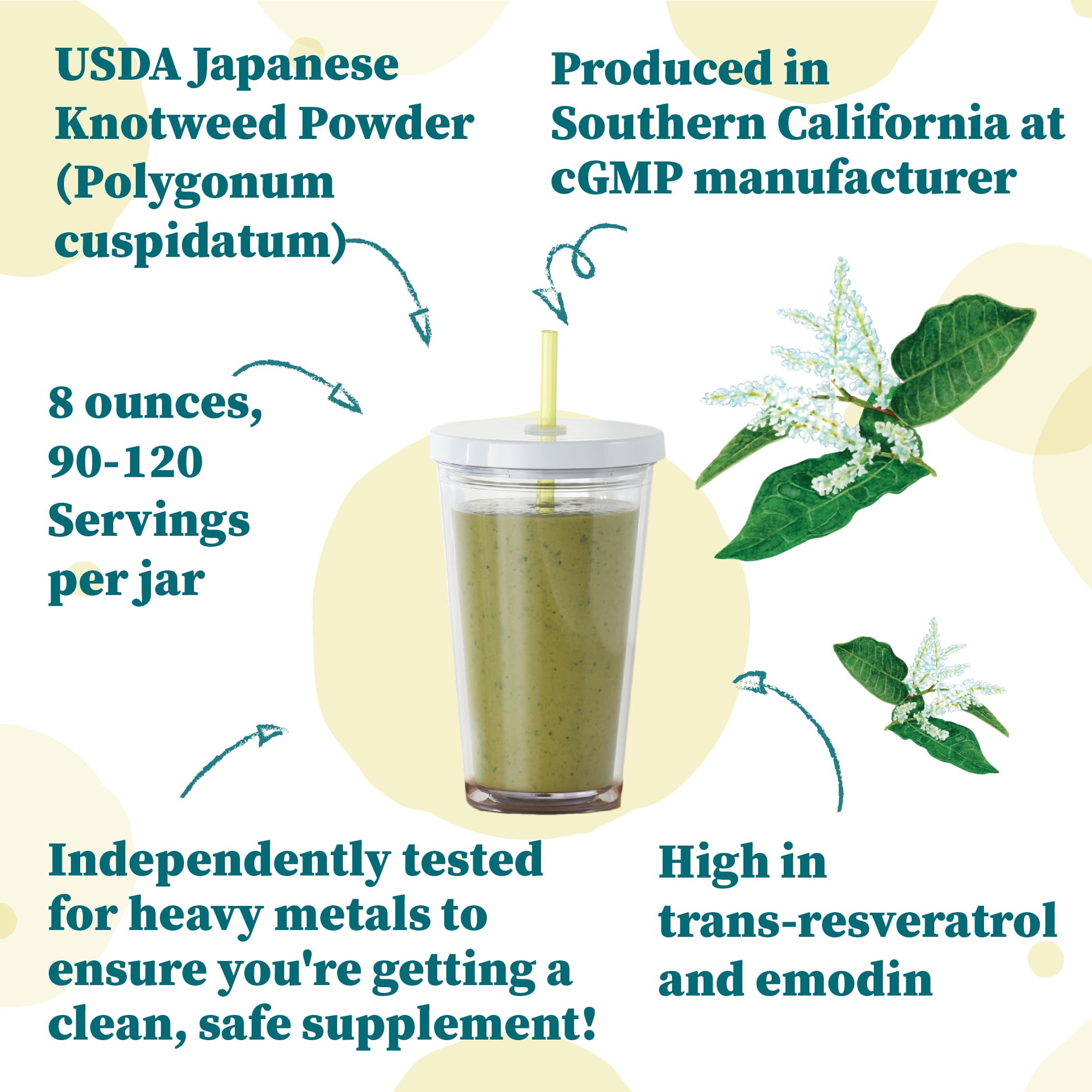 Nature Restore Organic Japanese Knotweed Powder, 8 Ounce, Natural Trans-resveratrol, Non GMO, Gluten Free, Also Known as Polygonum Cuspidatum
