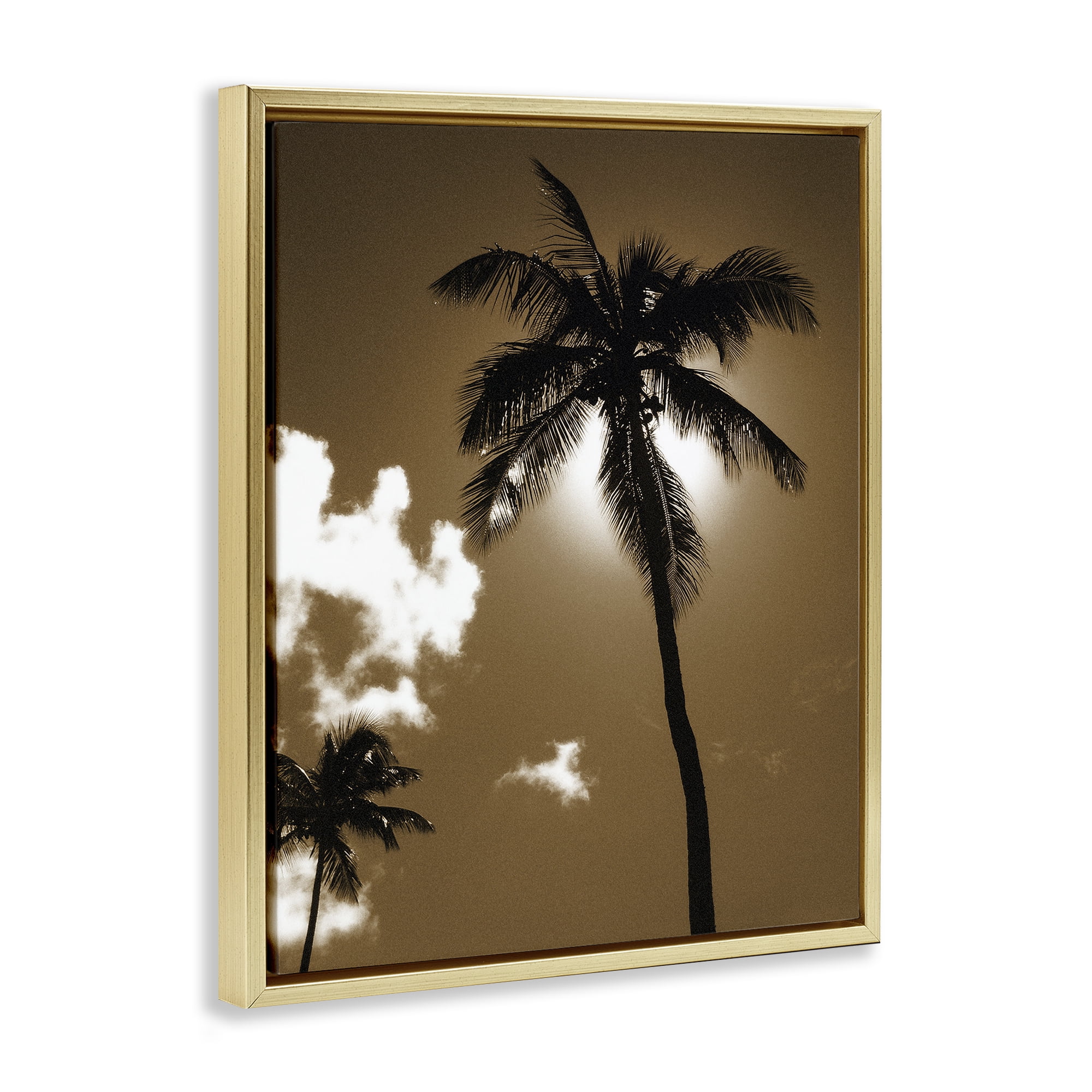Stupell Industries Sunlight Through Palms Landscape Photography Gold Floater Framed Canvas Art Print Wall Art, 25 x 31