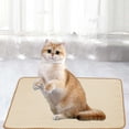 thumbnail image 5 of Pet Cooling Mat, Summer Dog Cooling Mat Washable Self Cool Pad for Small Dogs and Cats, Portable Breathable Pet Sleeping Pad for Crate, Bed, Indoor & Outdoor Floor, 5 of 8