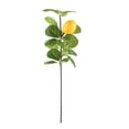 thumbnail image 3 of Simulación de rama de limón (limones gemelos pequeños y oscilantes tipo B), 3 of 14
