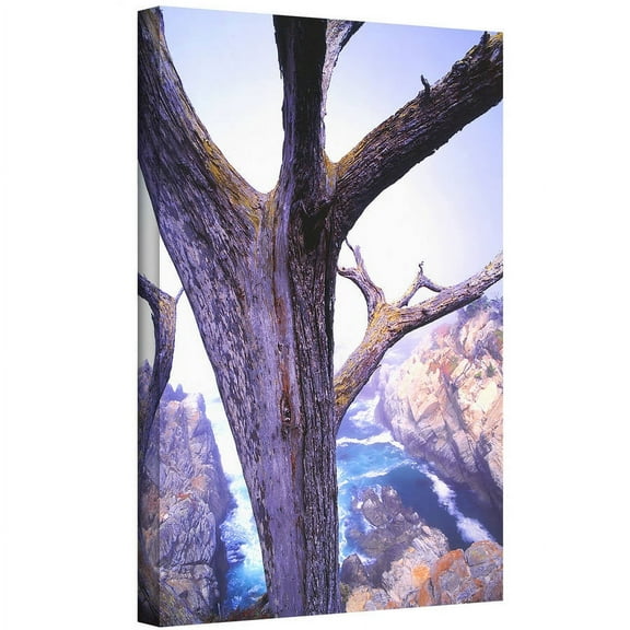 Dean Uhlinger "Morning Fog And Cypress" Gallery-Wrapped Canvas