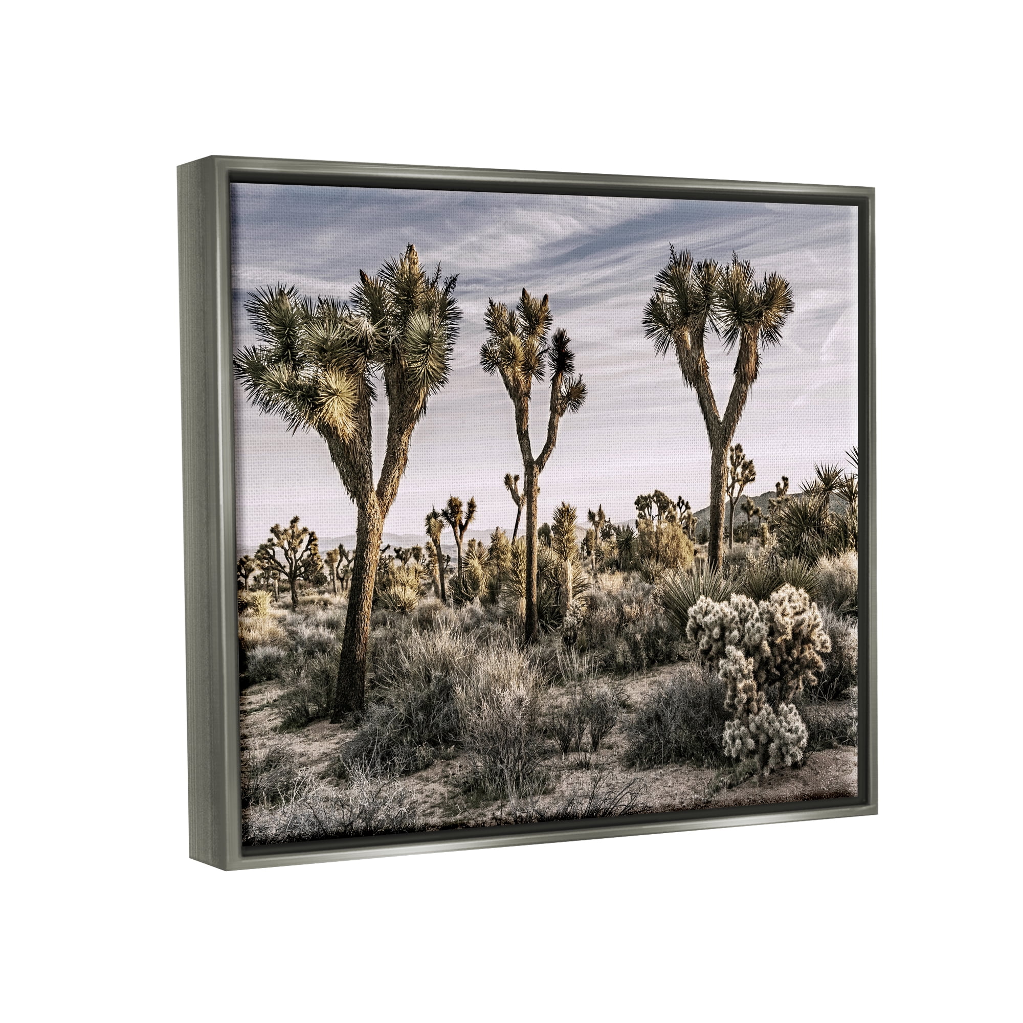 Stupell Industries Desert Cacti Vegetation Landscape Photography Gray Floater Framed Canvas Art Print Wall Art, 21 x 17