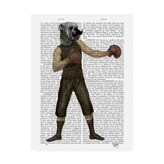 Trademark Fine Art 'Boxing Bulldog, Full' Canvas Art by Fab Funky