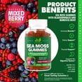 thumbnail image 3 of Sea Moss 3,000MG Gummies with Bladderwrack and Burdock Root - Gluten-Free, Vegan - 60 Gummies, 3 of 6
