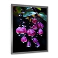 thumbnail image 2 of Designart "Hummingbird with Fuchsia Flowers III" Floral Framed Wall Art - Traditional Pink Fuschia Hallway Framed Wall Art Decor, 2 of 6