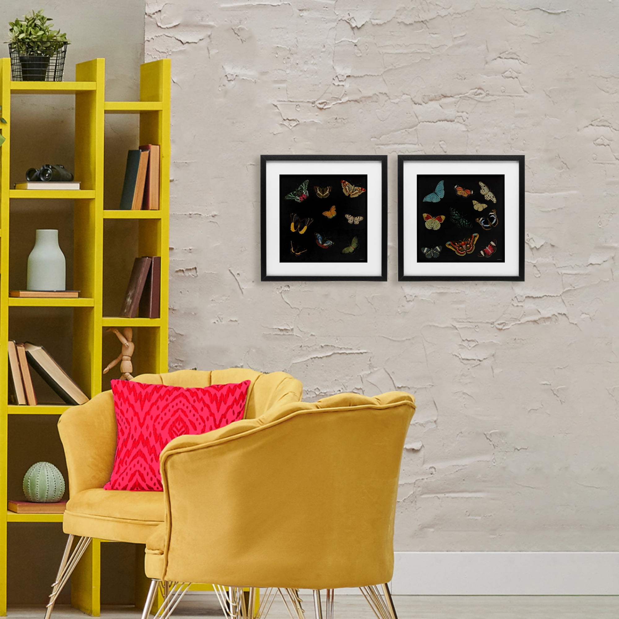 Stupell Industries Entomology Collection on Black 2 Piece Black Framed Print Under Glass Set, design by Dan Meneely