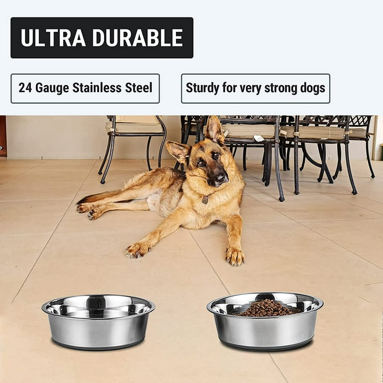 Wesen Pet Dog Bowls 2 Stainless Steel Dog Bowl with Handle No Spill  Non-Skid Silicone Mat & Food Scoop Water and Food Feeder Travel Bowls for  Small Medium Dogs …