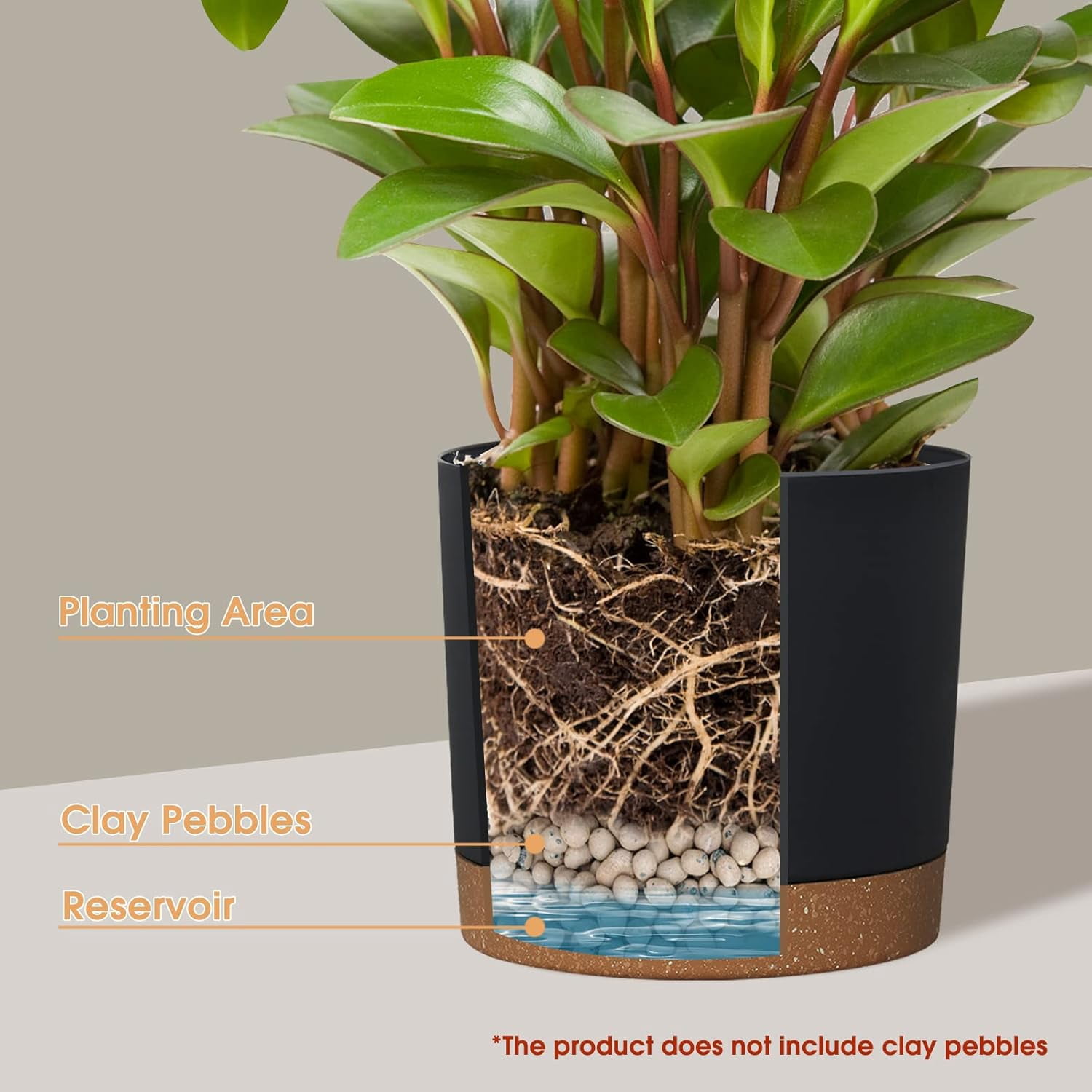 Plant Pots for Indoor Plants, 2 Pack 12 Inch Pots for Plants, Lightweight Large Planters for Indoor Plants Outdoor Plants, Big Plastic Black Plant Pot Flower Pot with Drainage (12” Black)
