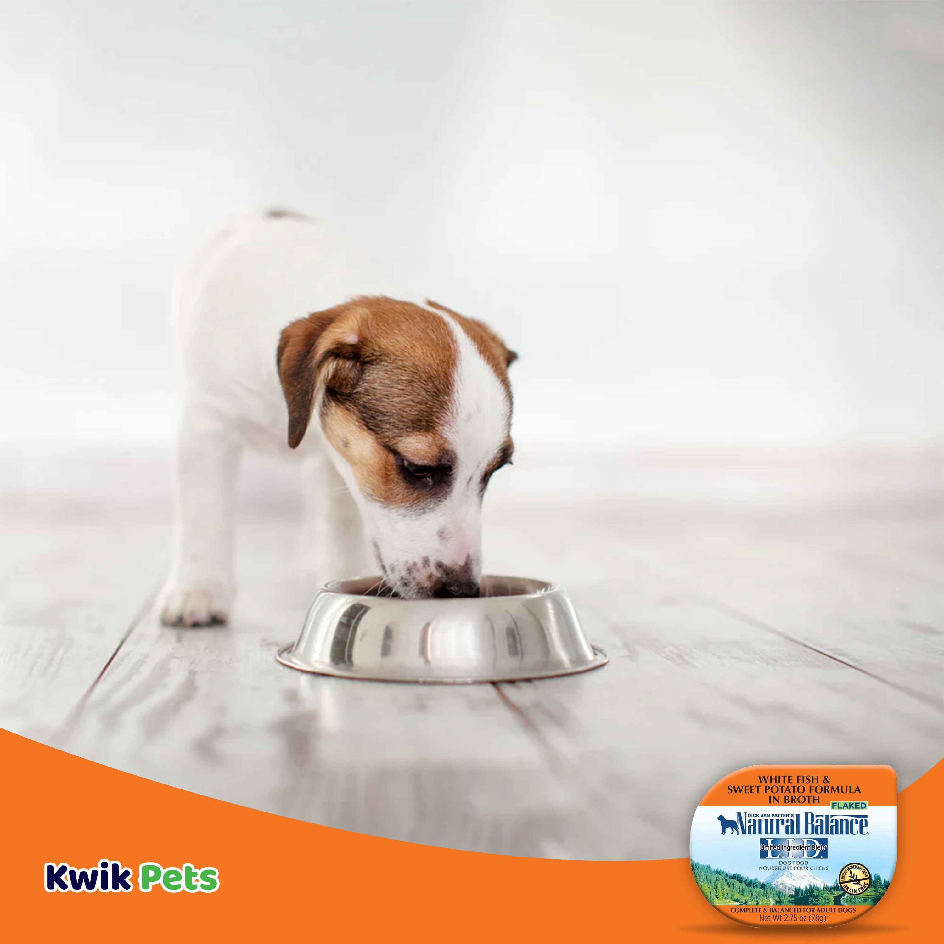 Natural Balance Pet Foods L.I.D. Tub Wet Dog Food White Fish
