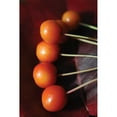 thumbnail image 3 of Putman, Tammy 11x14 Black Modern Framed Museum Art Print Titled - Berries I, 3 of 5