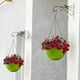 thumbnail image 2 of Macetas de Flores Al Aire Libre Tejido Plástico Cesta Colgante Montado en la Pared para Rábano Verde Suculento, Plástico Negro 8.27x8.27x6.1In, Macetas Colgantes para Plantas, 2 of 6