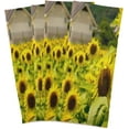 thumbnail image 2 of Dreamtimes Landscape Nature Sunflowers Kitchen Dish Towels, 18 Inch x 28 Inch Dishcloths, Dish Cloths for Washing Dishes Dish Rags and Drying Dishes, 2 of 7