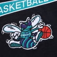 thumbnail image 5 of Men's Mitchell & Ness Black Charlotte Hornets Hardwood Classics Felt Applique Slub T-Shirt, 5 of 6