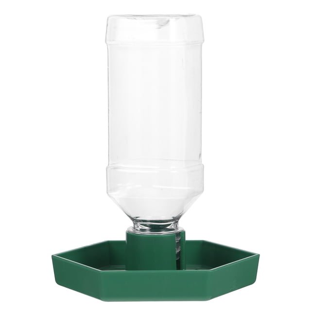 Shisuyan Reptile Waterer Abs Green Small Animals Water Storage 1Pcs 6.5x4.7x4.1In