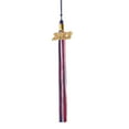 thumbnail image 4 of Class Act Graduation Graduation Tassel - Gold Charm - 3 Color, Black / Purple / Green, 4 of 9