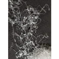 thumbnail image 3 of Elastic For Masks Clear 50 yards, 3 of 4