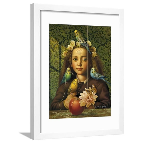 Girl with Parakeets Framed Print Wall Art by Dan Craig Sold by Art.Com