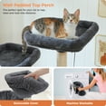 thumbnail image 2 of PAWZ Road 46.5" Large Cat Tree Multi-Level Cat Tower with Top Perchs&Big Condo Indoor Dark Gray, 2 of 12