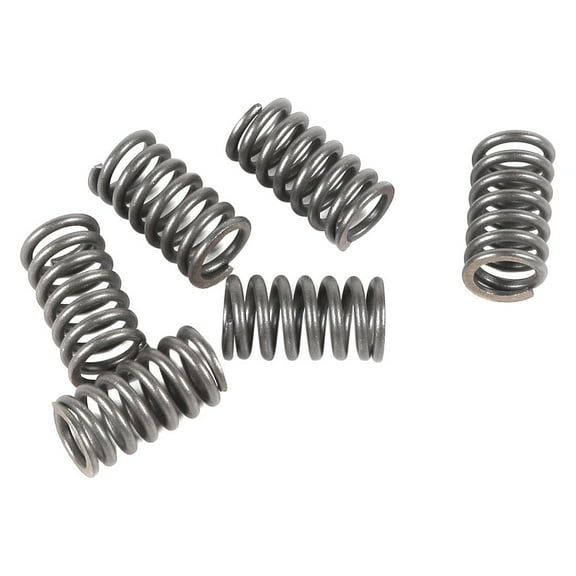 EBC CSK31 - CSK Series Heavy Duty Clutch Spring Kit