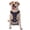 With Accessories, variant on Vsdgher Nautical Style Sailboat Pattern Dog Harness,No Pull Pet Harness with Soft Padded Handle,Adjustable Reflective Vest with 2 Buckles,4 Slide Buckles,S-XL Large