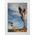 thumbnail image 3 of Erin Berzel 23x32 White Modern Wood Framed Wall Art Titled - Joshua Tree I, 3 of 5