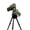 Forest Green Camo, variant on ® RainCoat 2 Pro