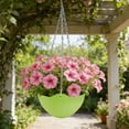 thumbnail image 4 of Self-Watering Hanging Planters, Colorful Garden Flower Plant Pot Container Baskets with Drainer Chain for Indoor Outdoor Use, 4 of 6