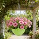 thumbnail image 4 of CaiYueKe Self Watering Hanging Planter with Drainage Holes and Chain, Plastic Plant Pots for Indoor Outdoor Garden, Flower Pot Container for Succulents Herbs, 4 of 7