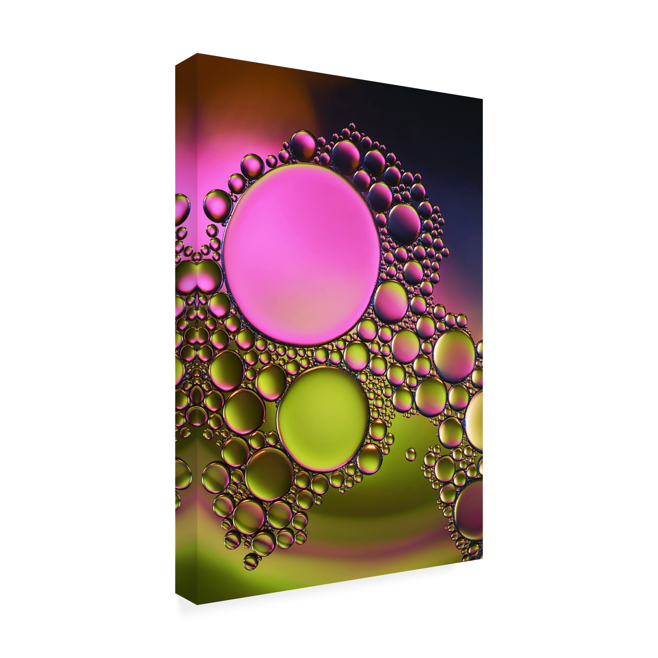 Canvas Wall Art - Heidi Westum 'Pink Influence' Wall Art for Living Room, Bedroom, or Office Décor by Trademark Fine Art - 30 x 47 Inches