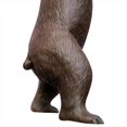 thumbnail image 5 of Modelo de Anatomía del Oso Animal 4D Vision, 36 Piezas, Órgano de Biología Animal Desmontable, Suministros Anatómicos para el Aula, Enseñanza, 5 of 5